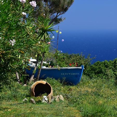 Panoramma Hause, Kampos Evdilou,Ikaria Διαμέρισμα Εύδηλος Εξωτερικό φωτογραφία